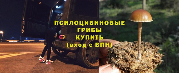 PSILOCYBIN Верхнеуральск