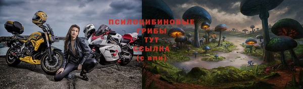 твердый Верхний Тагил